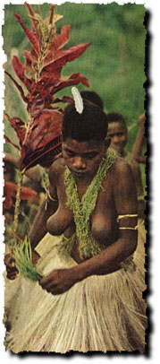 Womenfolk